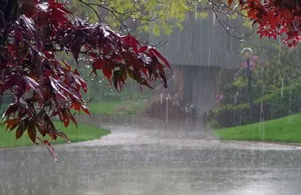 Thundershowers Expected Across Several Provinces Today, Met Department Warns