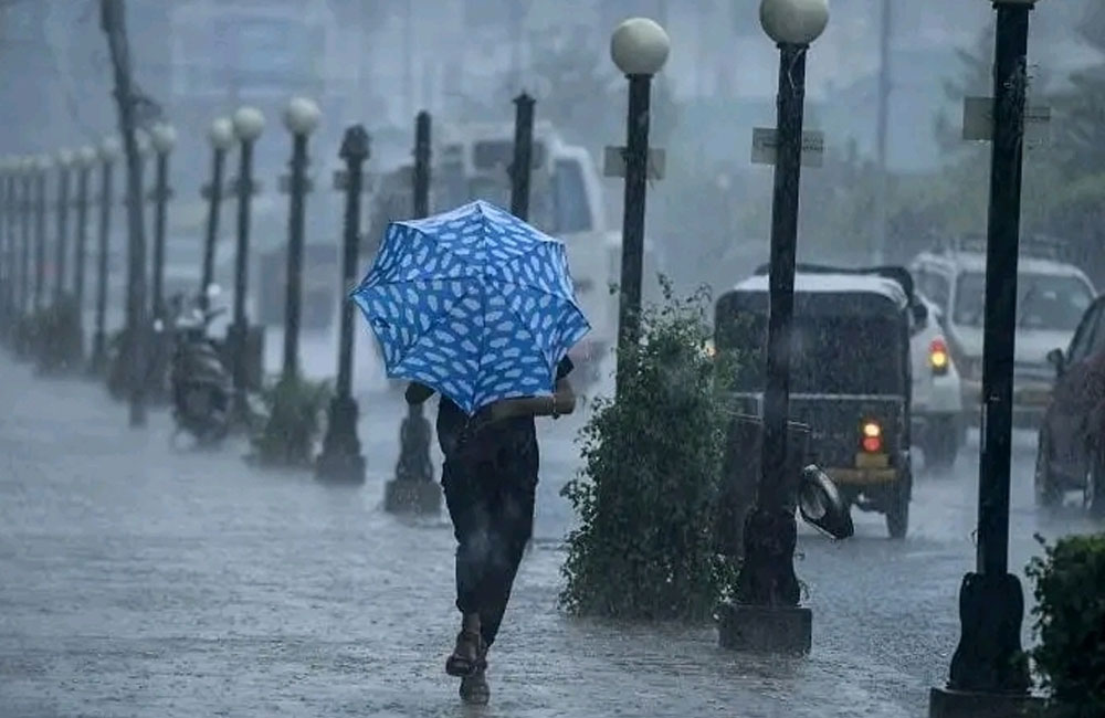 Afternoon Showers Expected in Southern and Several Inland Districts