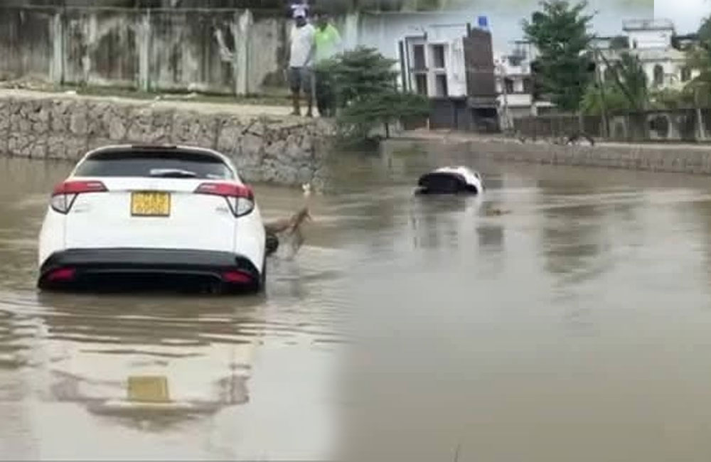 Three Killed After Vehicle Plunges Into Canal in Sainthamaruthu