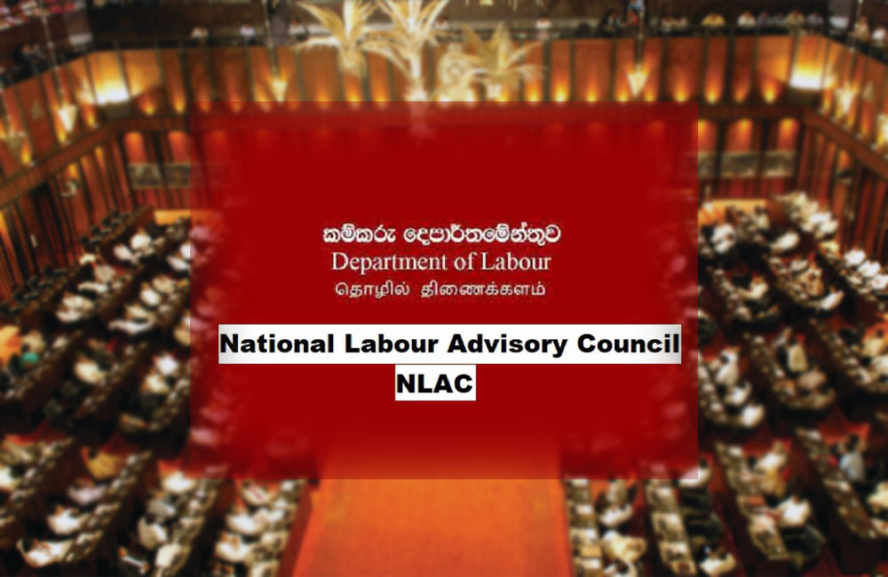 Labour Unions Unite for Policy-Driven 2026 Budget Reforms