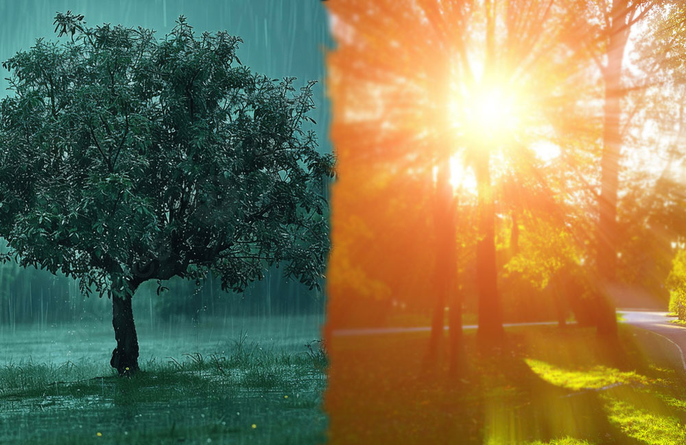 Turning of the Climate