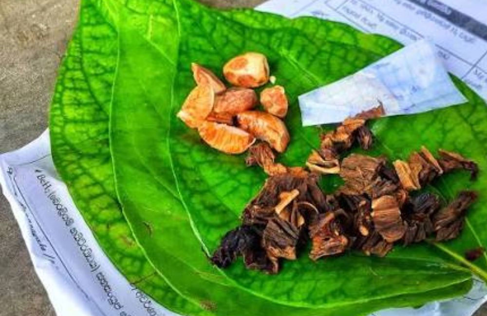 Legal Action to Be Taken Against Sale of Smokeless Tobacco Leaves with Betel Quids
