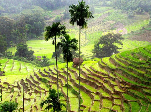 day tour 240815 qN7G9g