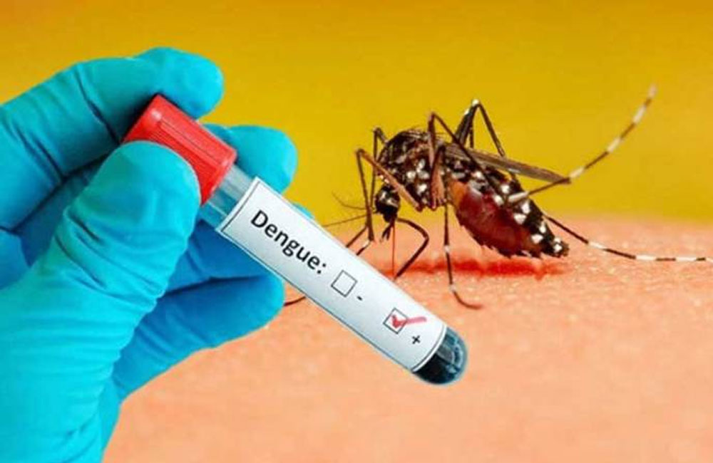 Hospitals in Western Province reach capacity as dengue cases surge