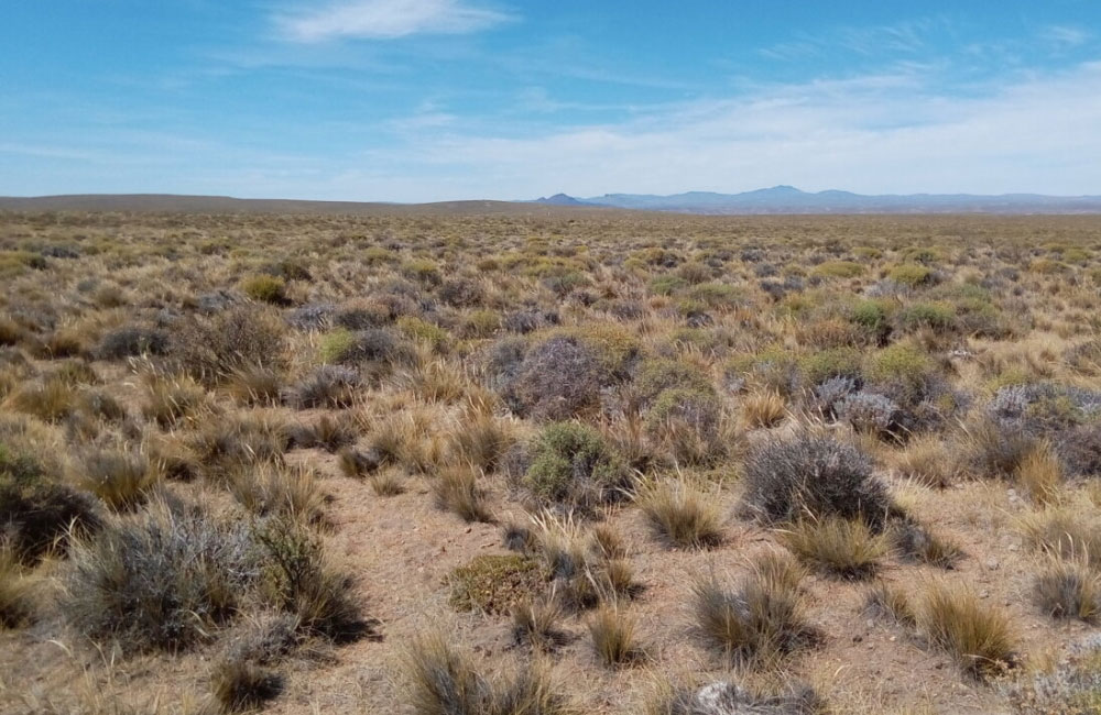 Dry Conditions to Continue Across Sri Lanka Today, Frost Risk in Nuwara Eliya