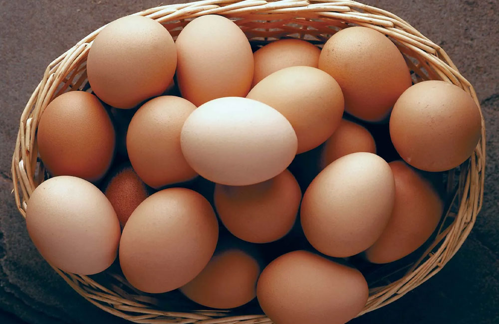 Producers have assured that egg prices will not increase