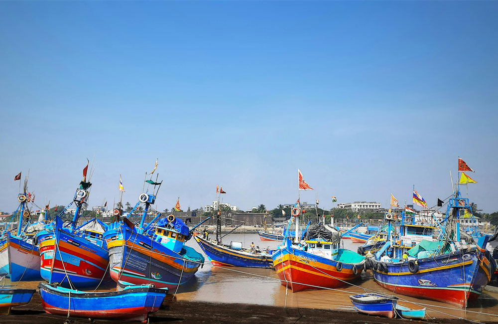 Audits Reveal Deep-Rooted Failures in Fisheries Harbour Governance