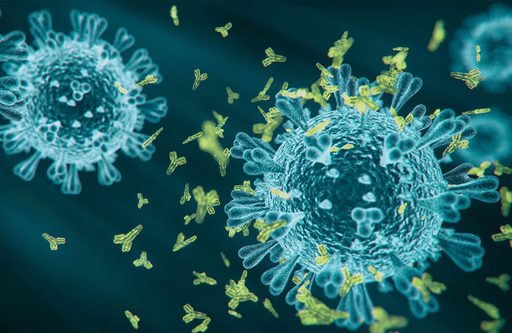 Experts warn of disease outbreaks across Sri Lanka