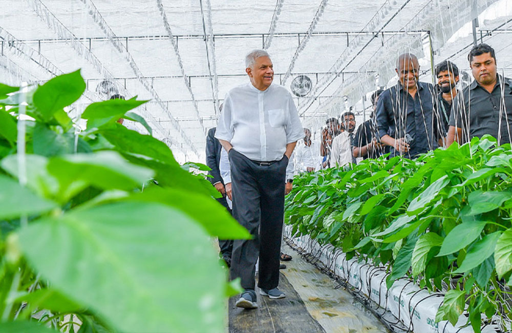 President reveals plans for AI-driven agricultural transformation in Sri Lanka