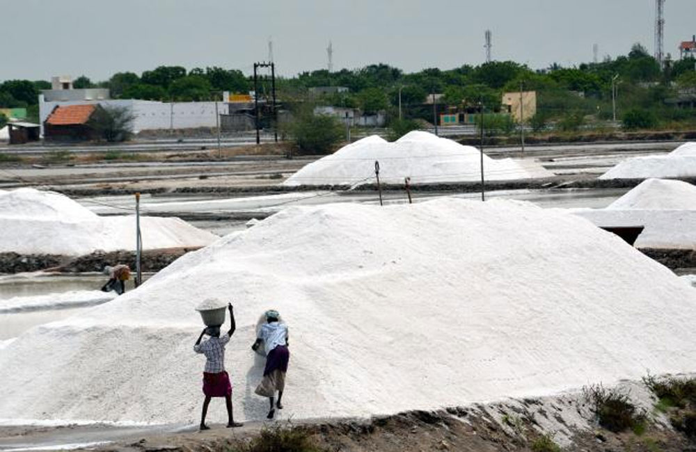 Lanka Salt Company reduces prices of Iodized Salt