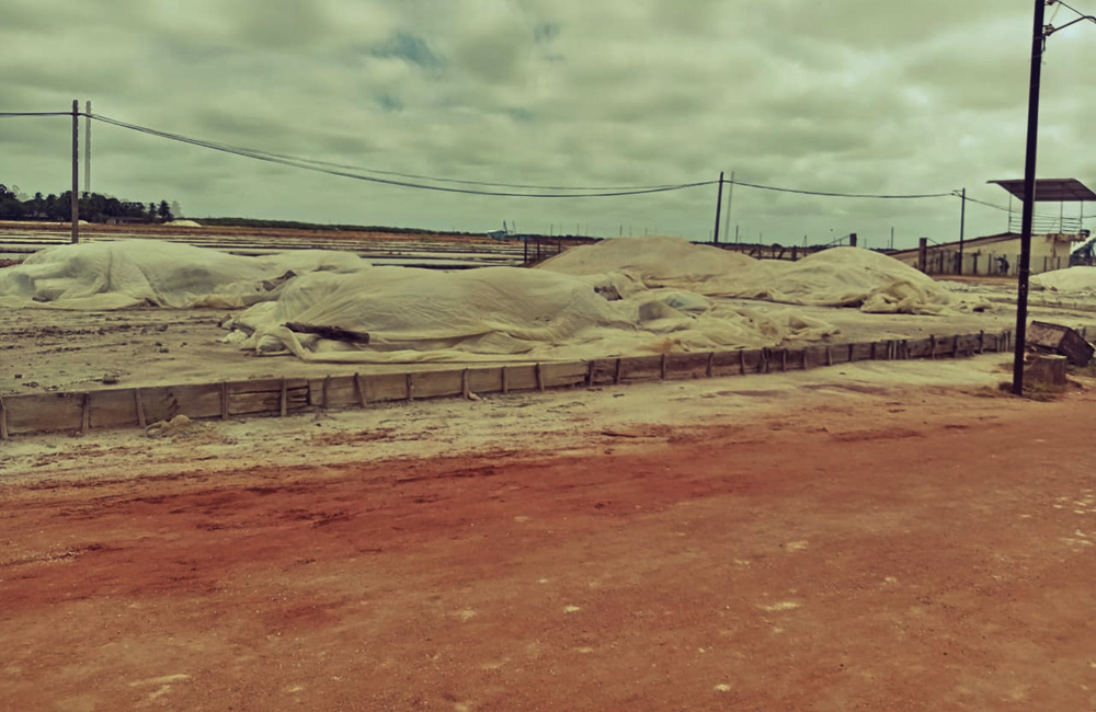 Govt to seek bids to reopen Elephant Pass – North Saltern under PPP model