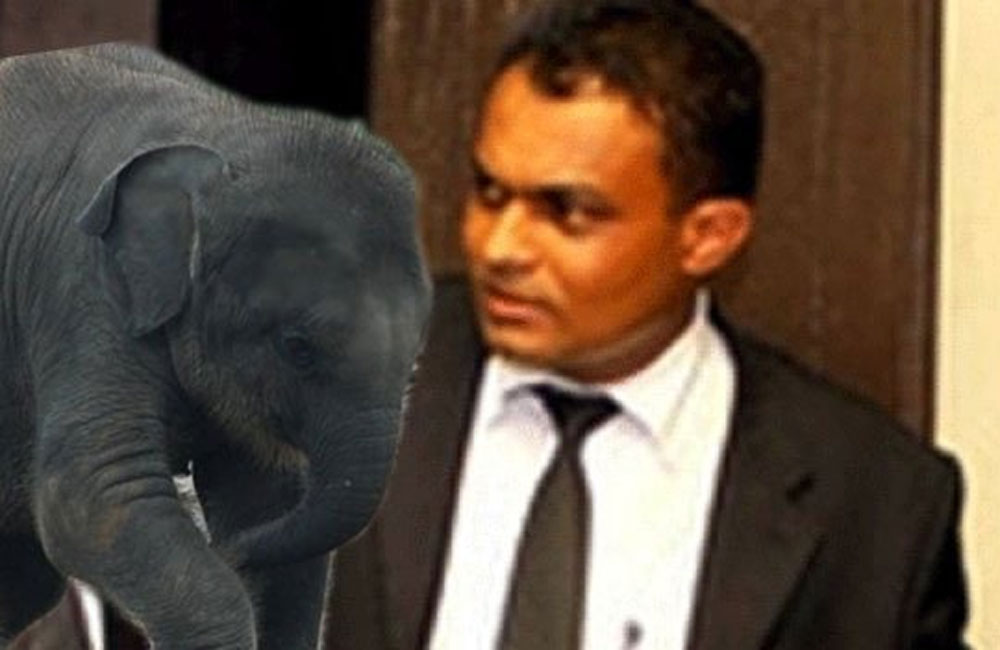Duties of Magistrate Thilina Gamage suspended