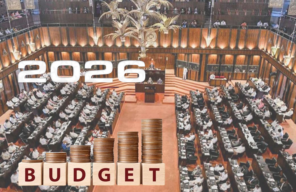 Budget Speech on November 7