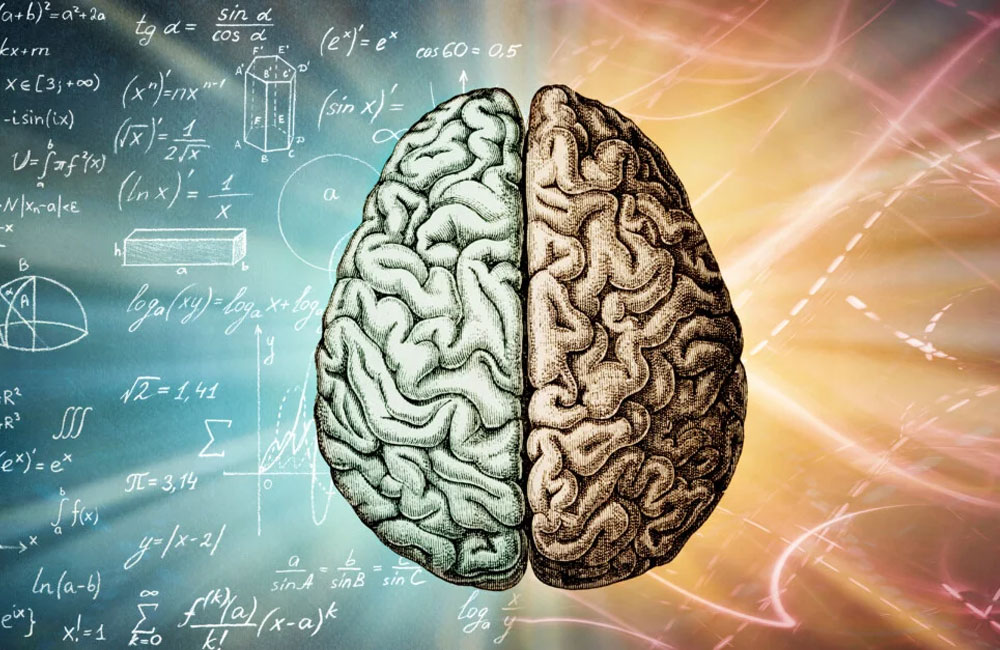 Sri Lanka Among World’s Top 12 for IQ, Highest in South Asia