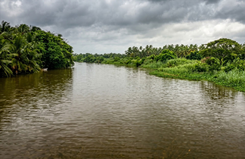 Minor Flooding Possible in Low-Lying Areas Amid Rising River Levels