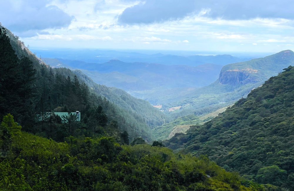 Knuckles World Heritage under Siege: MPs and Officials Behind Illegal Road Plan