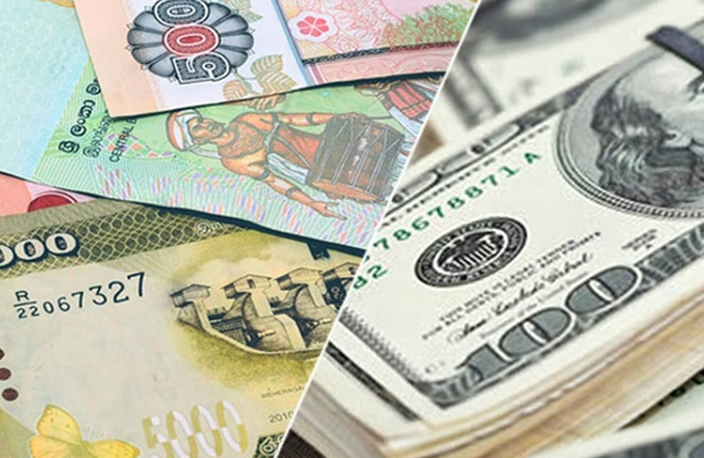 Dollar rate today : Selling rate steady at Rs. 318