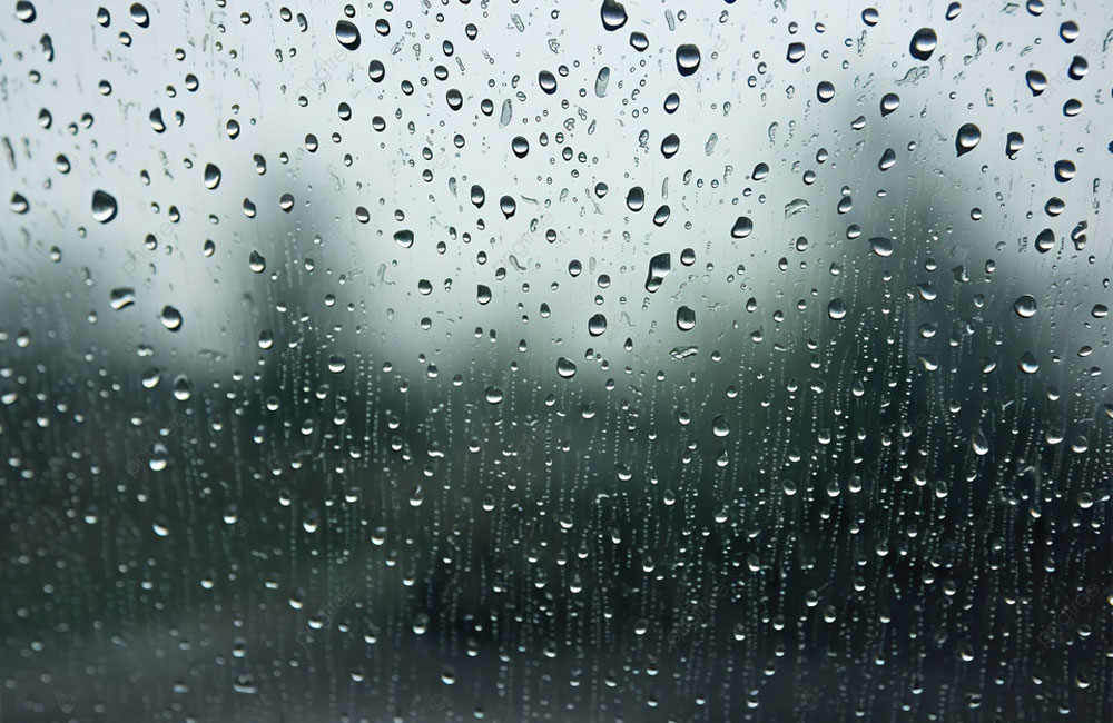 Afternoon Showers Forecast; Rough Seas Expected Due to Low-Pressure System