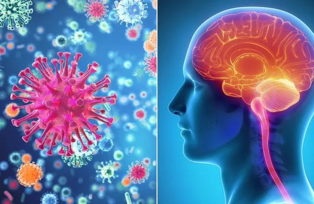 200 meningitis cases reported across country: Health Bureau