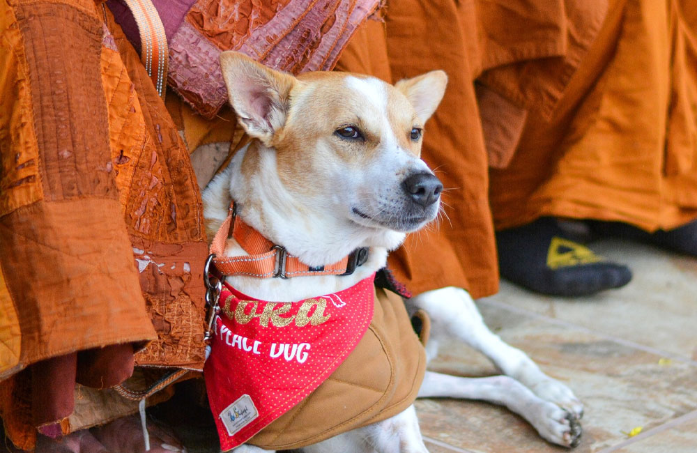 Highest Protection Assured for Peace Symbol ‘Aloka’ Ahead of Walk for Peace