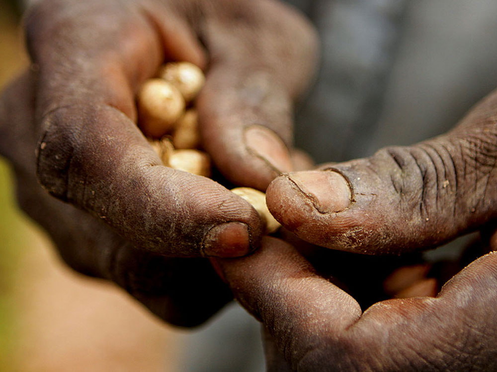 in Four Sri Lankans Living in Poverty, New Survey Reveals  Nearly 25% of Sri Lanka’s Population Affected by Poverty