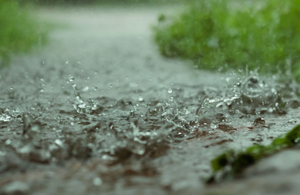 Sri Lanka to receive normal rainfall by May or June – Met. Dept