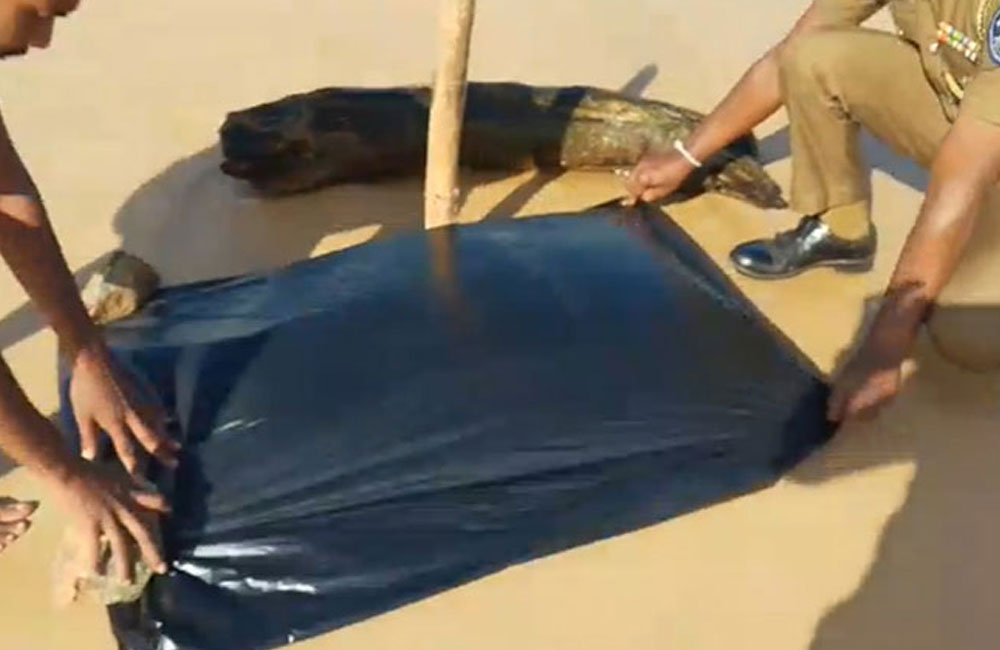 Severed human head washes ashore in Moragalla