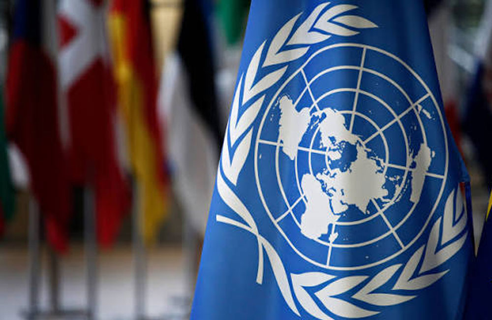 One in five Sri Lankan households can't afford food basket, UN finds
