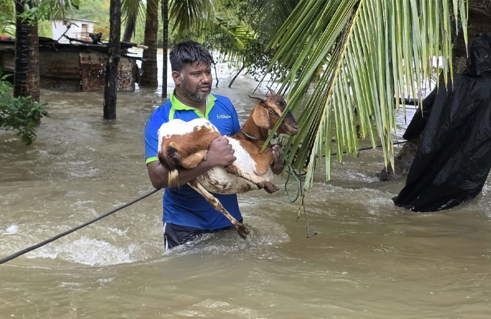 Sri Lanka needs you now, more than ever