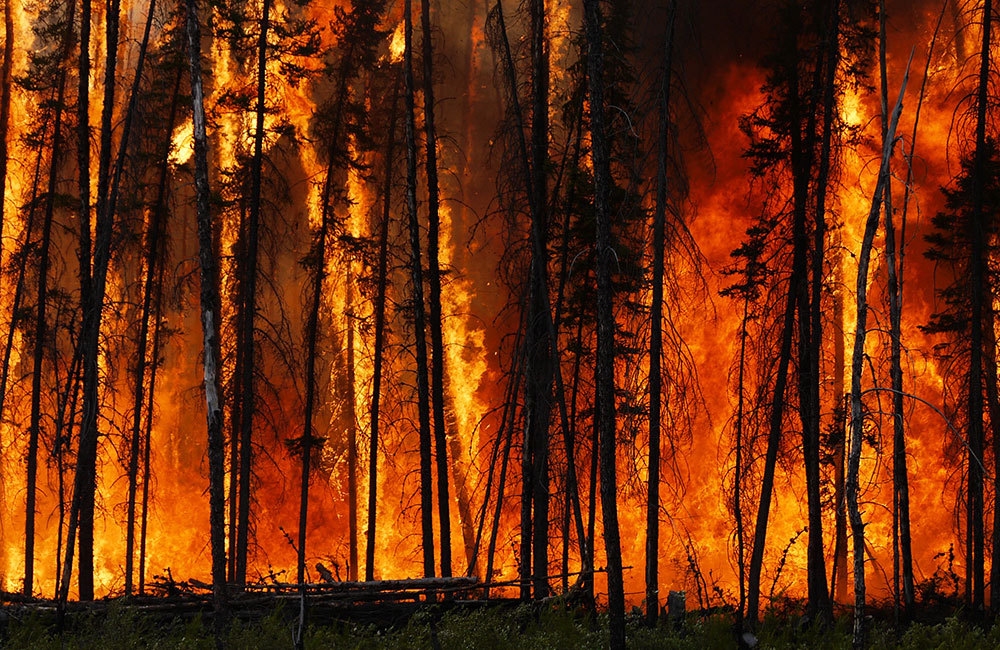 Hot Weather Triggers Rise in Forest Fire Incidents