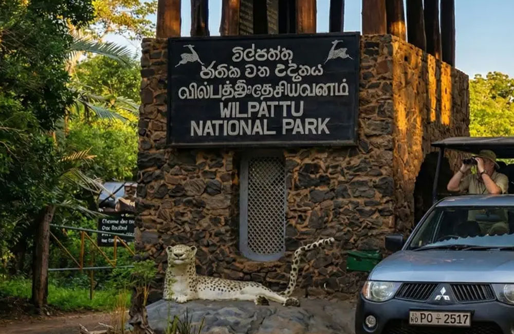 Drought Leaves Wilpattu National Park Water Sources Dry as Wildlife Department Steps In 