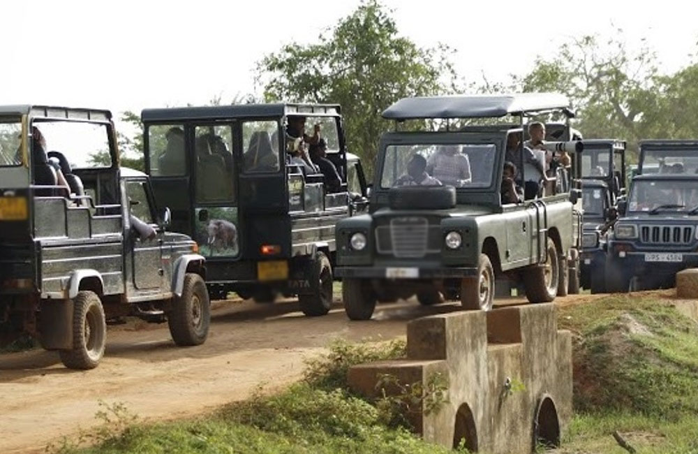 Wildlife Dept Says No to More Jeeps in Yala