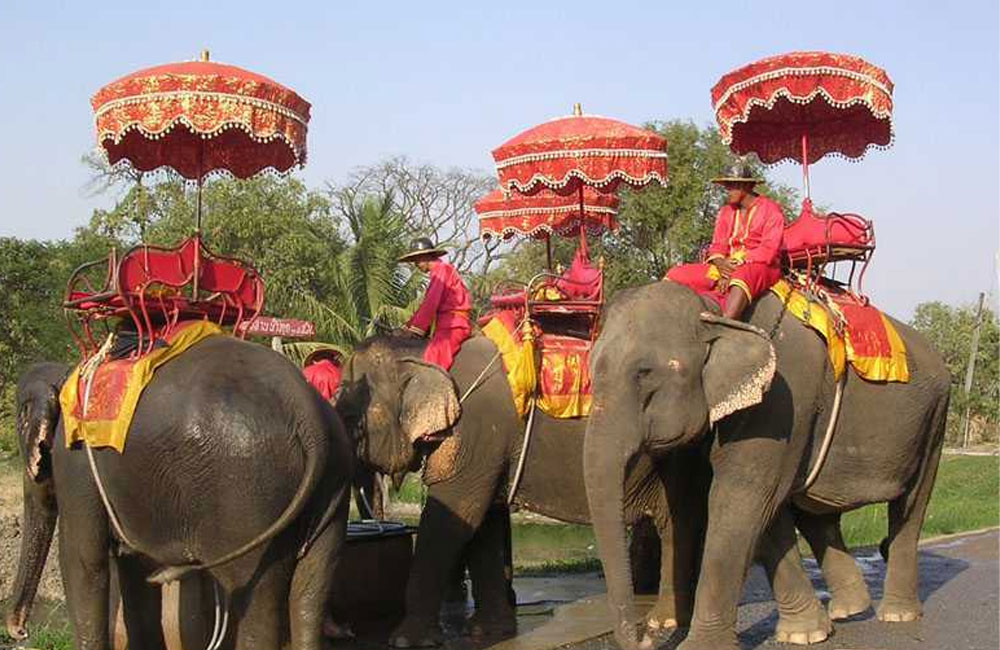 Indonesia bans elephant rides nationwide after disturbing footage came to light